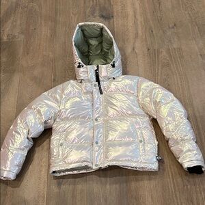 Aritzia Iridescent Puffer Jacket